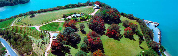 Kennedy Point Vineyard