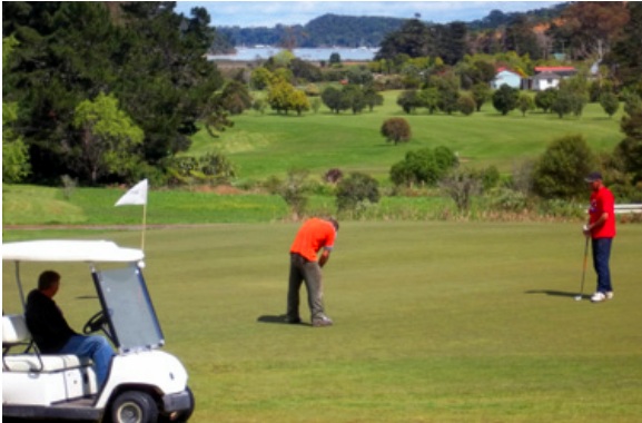 Waiheke Golf 18 hole