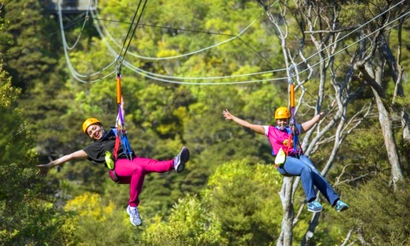 zipline Waiheke