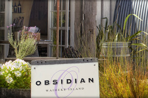 Obsidian Vineyard