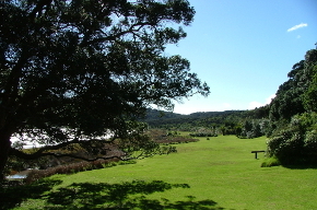 Whakanewha Regional Park