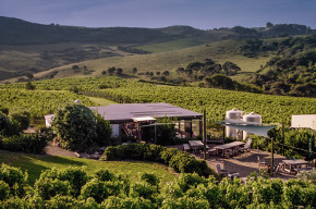 Te Motu Vineyard