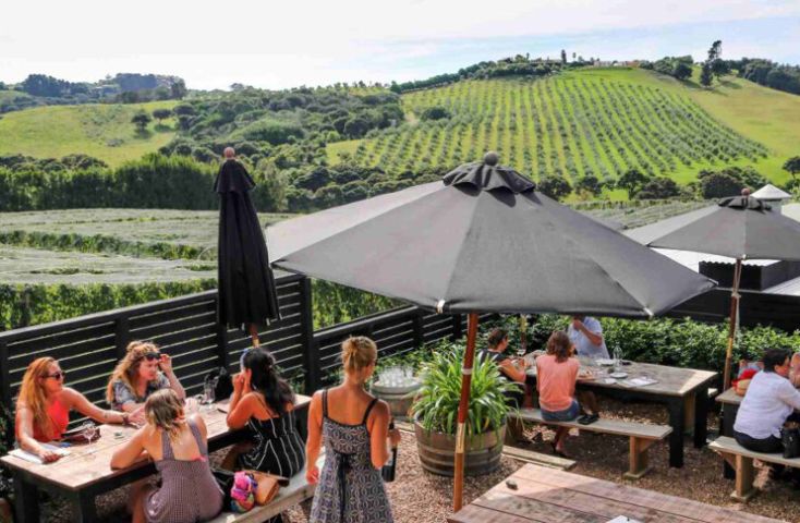 Waiheke Island Wine Tours