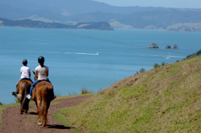 Waiheke Horse Tours