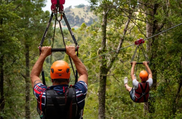 Man O' War Forest Flight