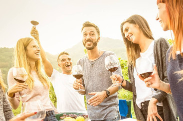 Waiheke Wine Tours