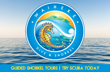 Diving and Snorkeling